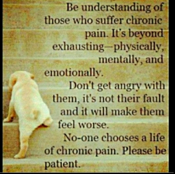 🏁 BCBG BLACK/WHITE Cardigan Acrylic Blend NWOT  🏁  Sz S Not L - Picture 11 of 13